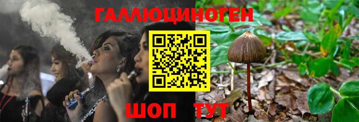 Галлюциногенные грибы Psilocybe  Вход с VPN  Новодвинск 